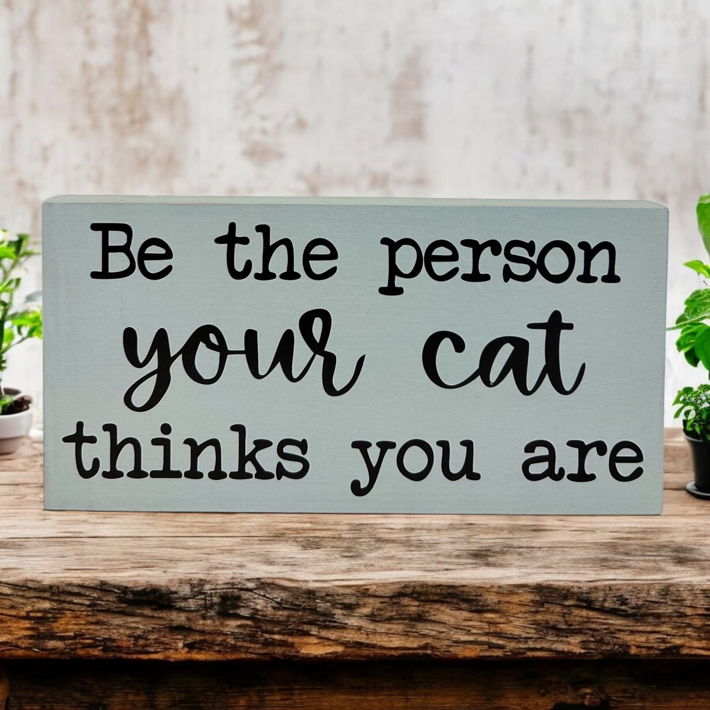 Be the Person Your Cat Thinks You Are - Rustic Shelf Sitter