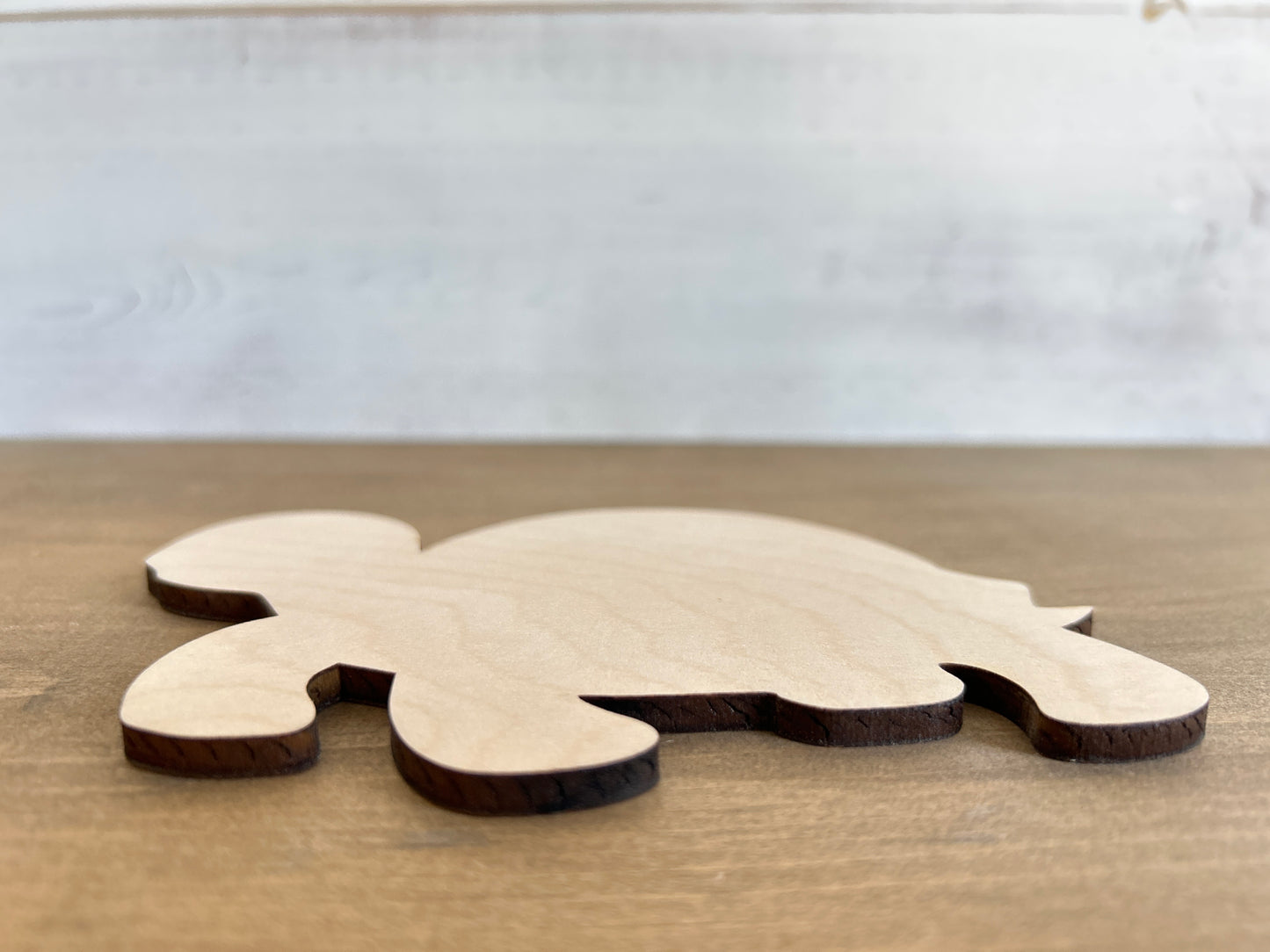 DIY Thin Blanks - Wood Box Turtle - Pack of 4