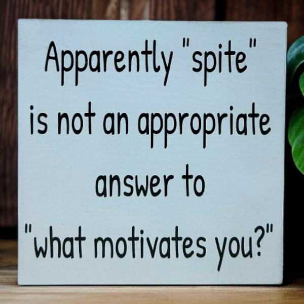 Spite Not Appropriate Answer- Funny Rustic Wood Sign