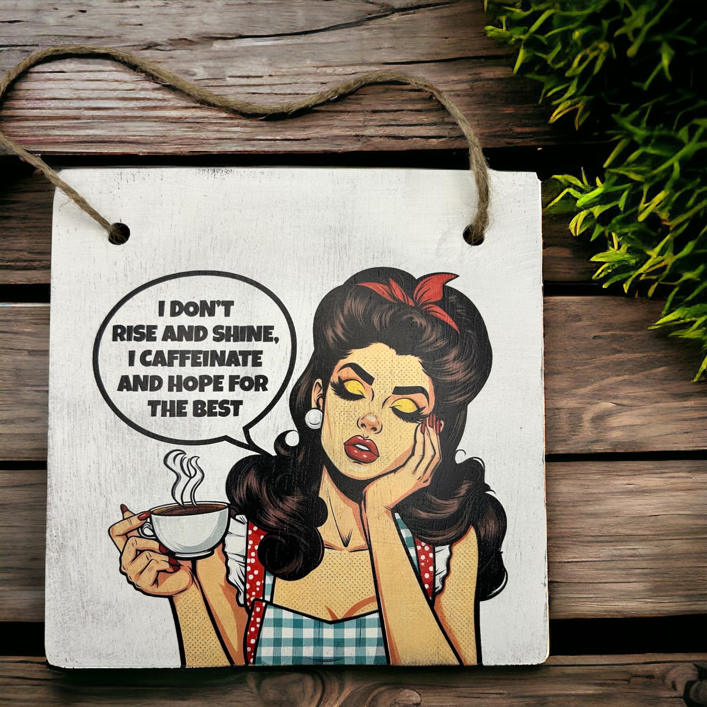 Sarcastic Pin Up Girl Wood Signs