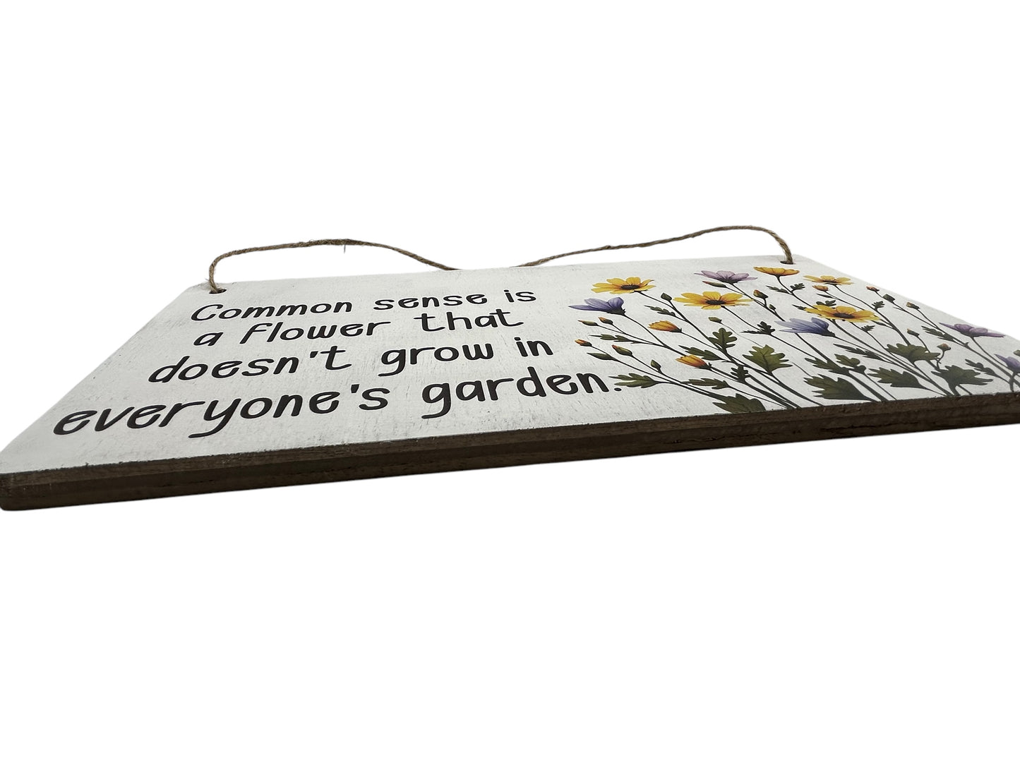 Common Sense- Funny Rustic Wood Hanging Sign