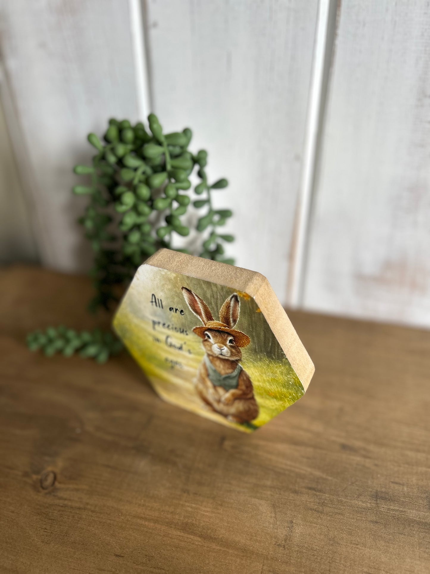 All are Precious - Rustic Faith Hexagon Wood Sign