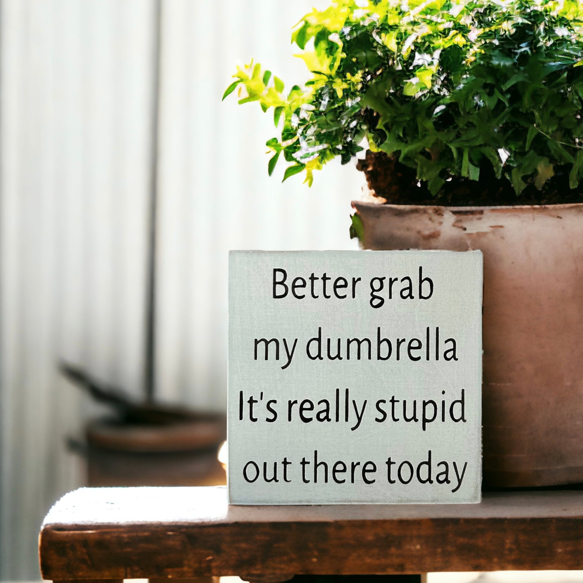 "dumbrella" funny wood sign