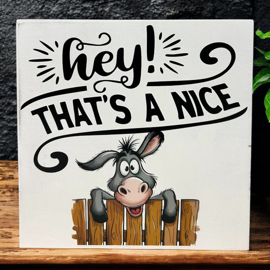 HEY That’s a Nice Ass- Funny Bathroom Decor Rustic Wood Sign