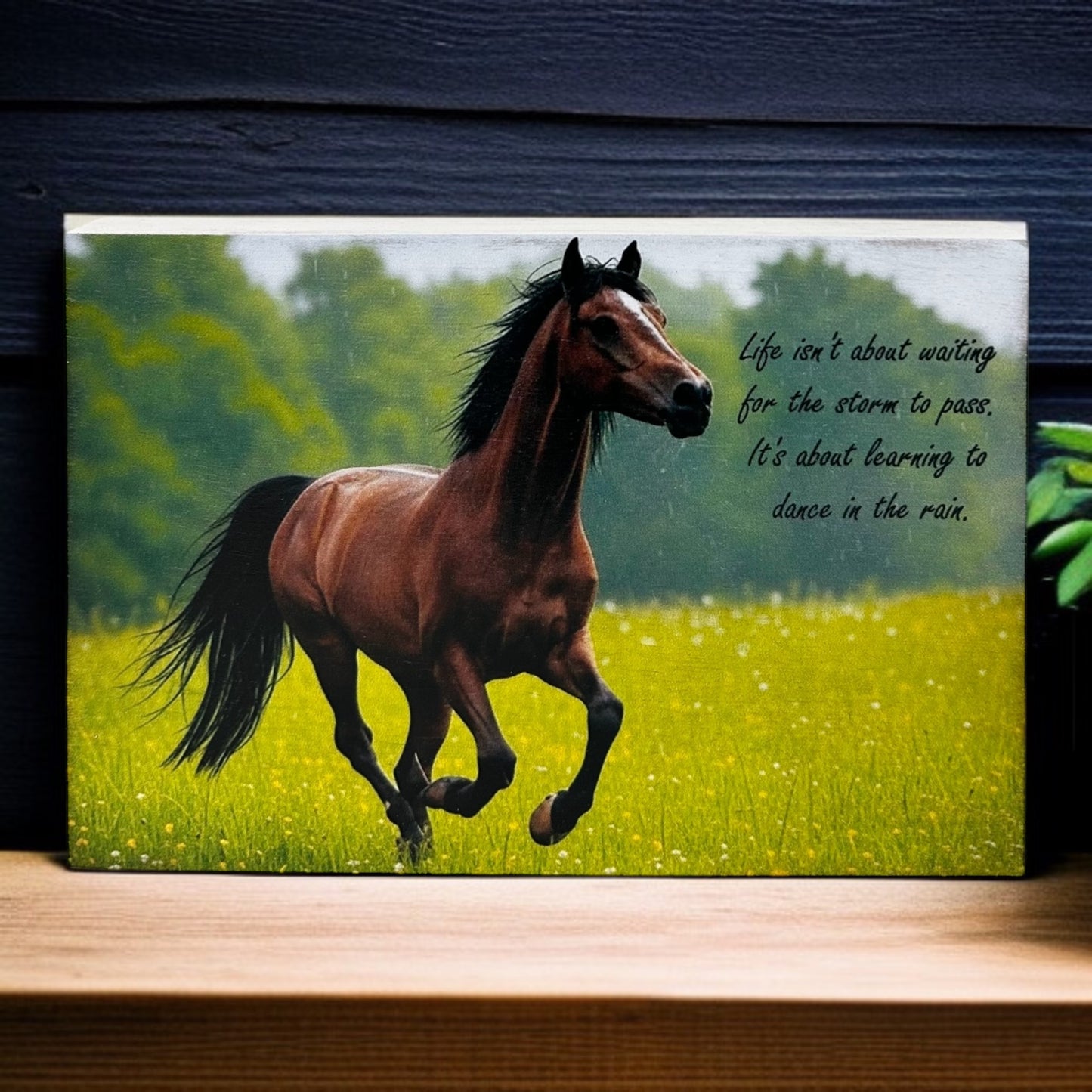 Dance in the Rain- Rustic Wood Country Horse Decor Sign