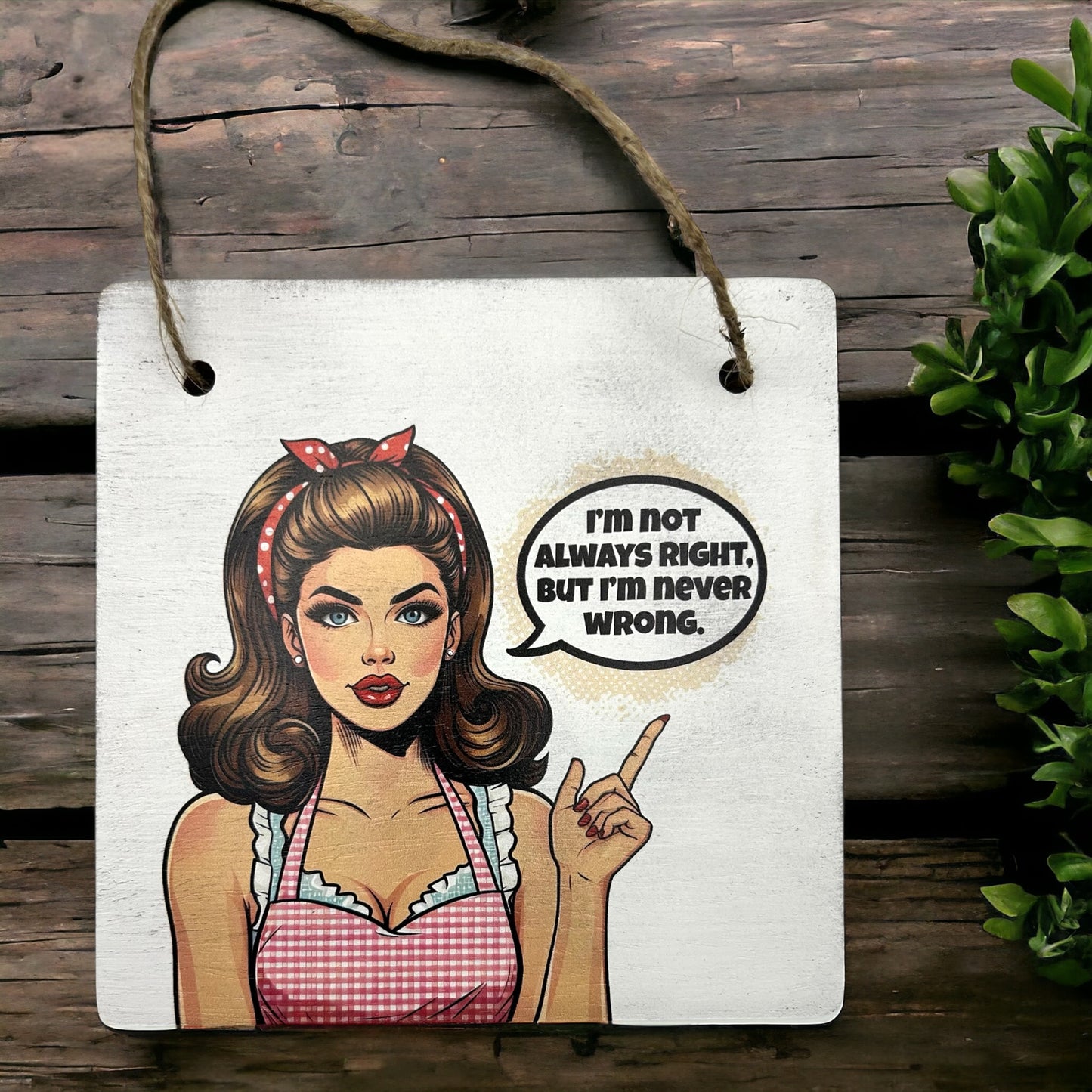 Sarcastic Pin Up Girl Wood Signs