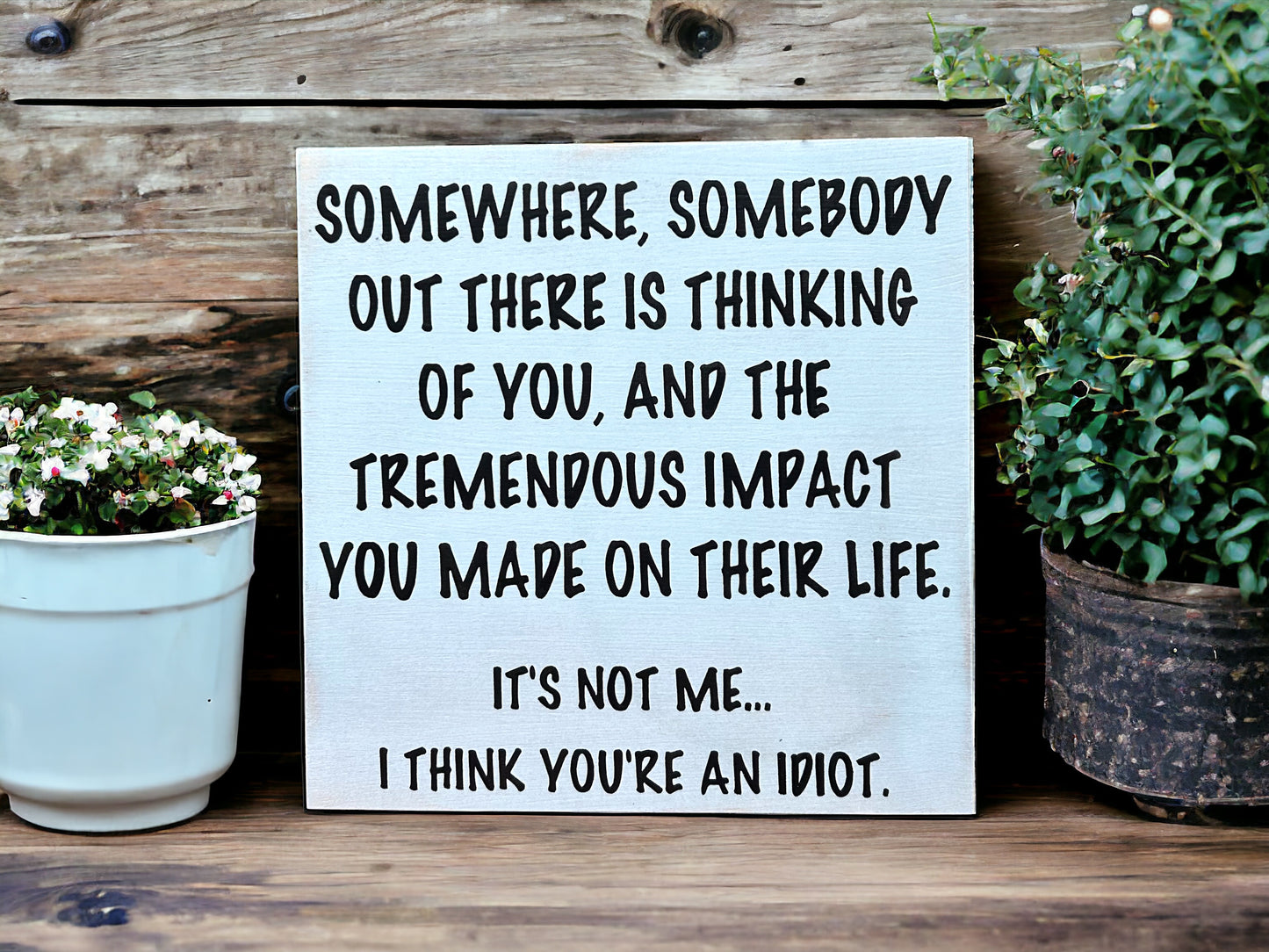 I Think You’re an Idiot - Funny Rustic Wood Sign