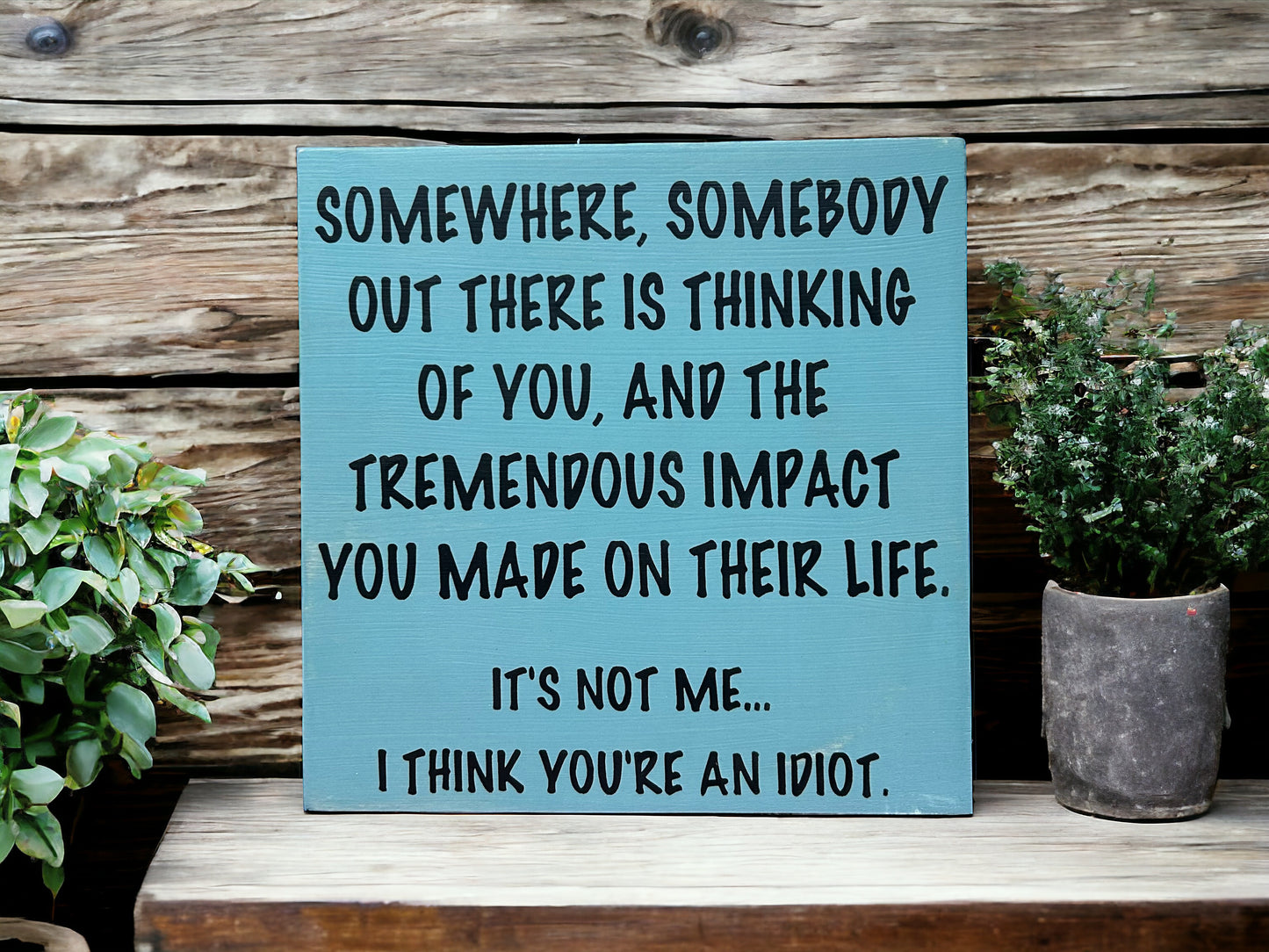 I Think You’re an Idiot - Funny Rustic Wood Sign