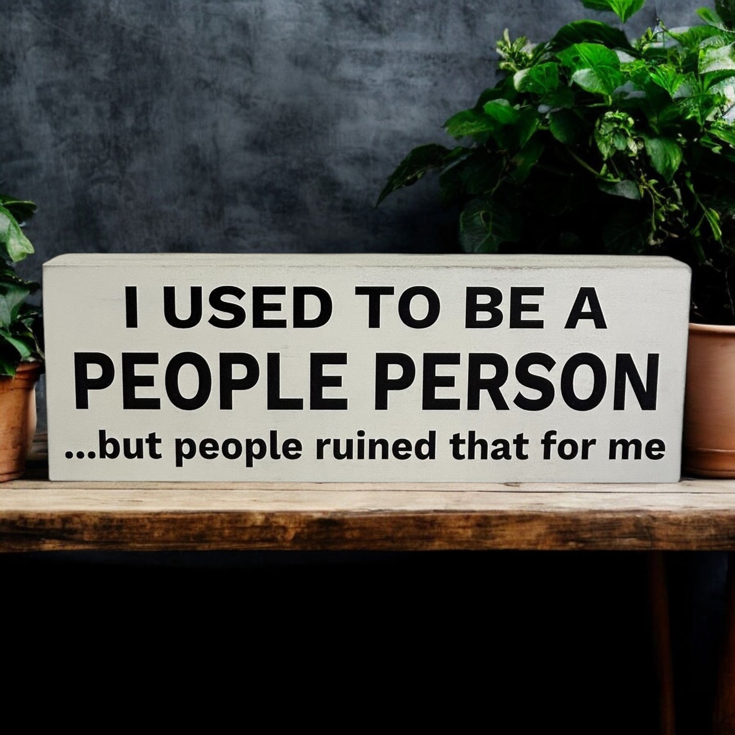 I Used to be a People Person - Rustic Shelf Sign