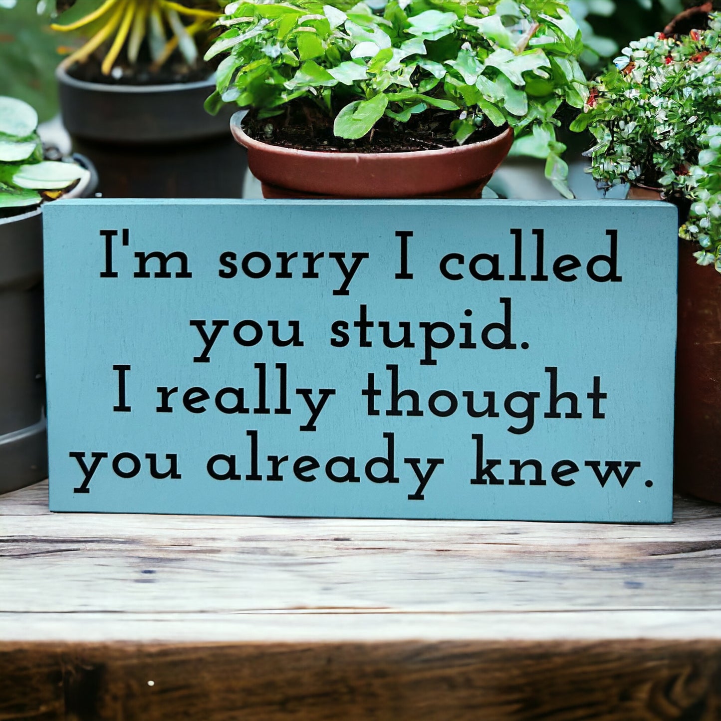 I’m Sorry I Called You Stupid - Funny Rustic Wood Sign