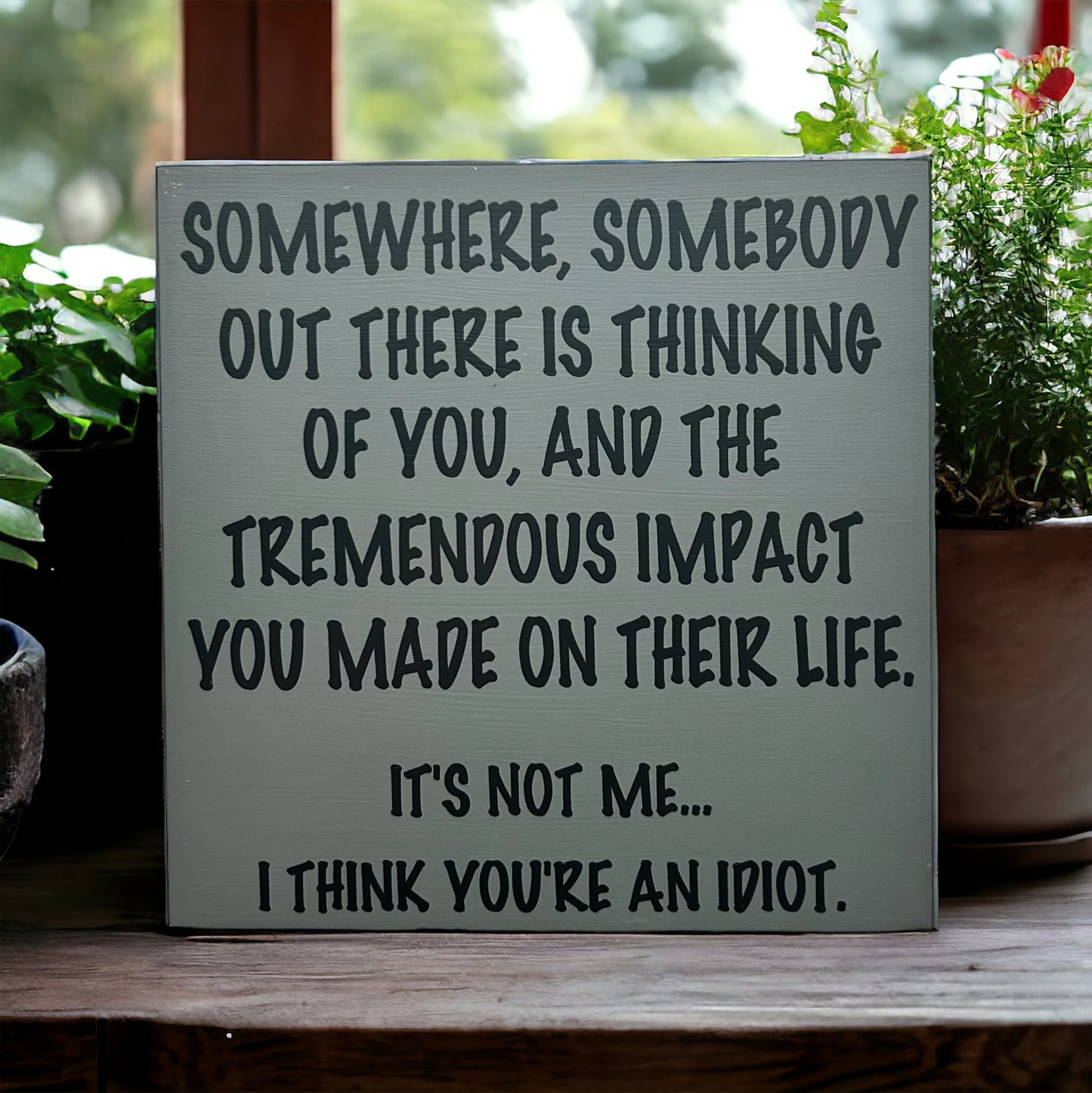 I Think You’re an Idiot - Funny Rustic Wood Sign