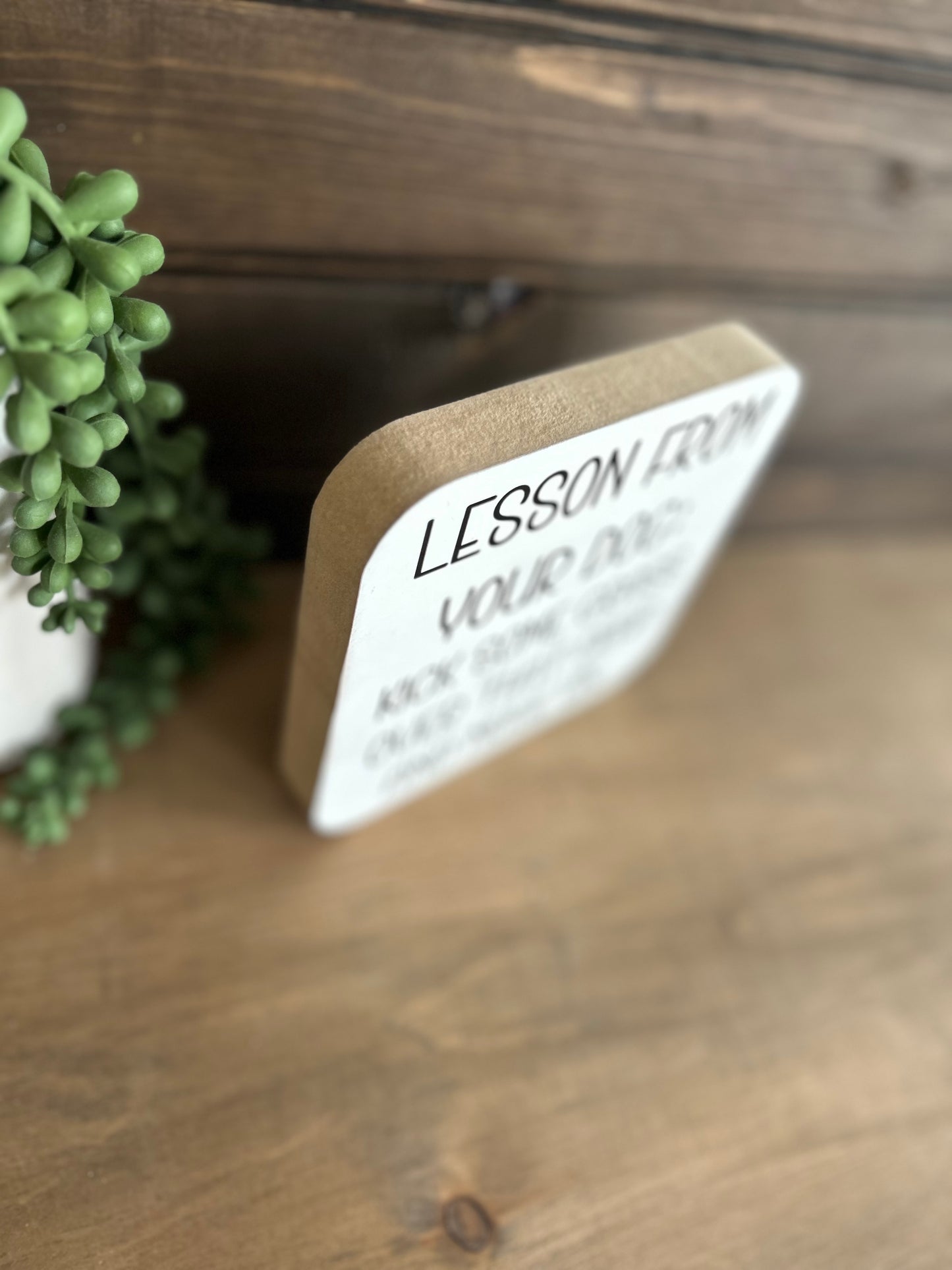 Lesson From Your Dog- Funny Wood Sign Pet Decor