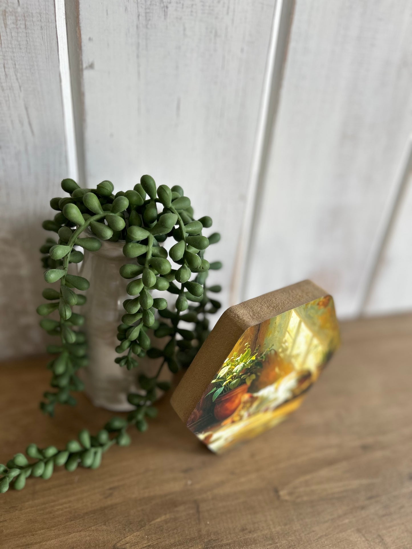 Cat Napping - Rustic Spring Decor Hexagon Wood Sign