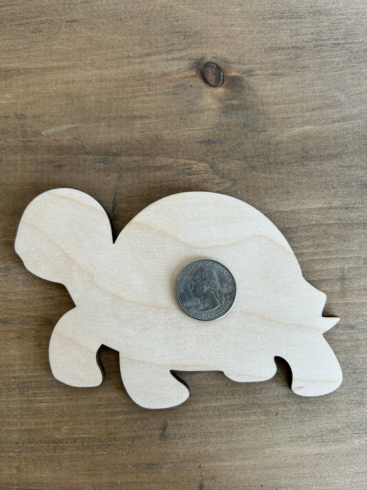 DIY Thin Blanks - Wood Box Turtle - Pack of 4