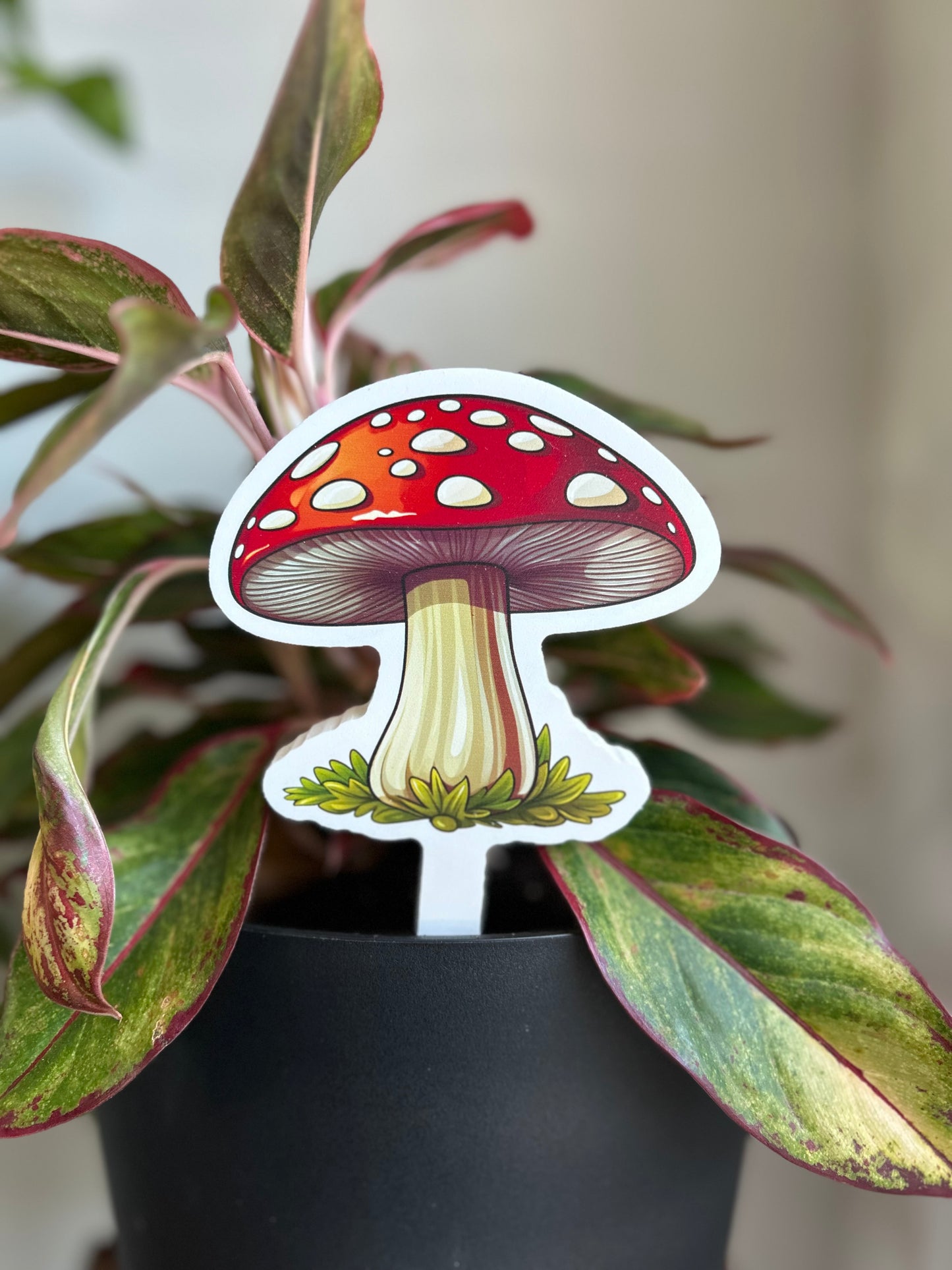 Indoor/Outdoor Plant Stake Decorations - Mushroom
