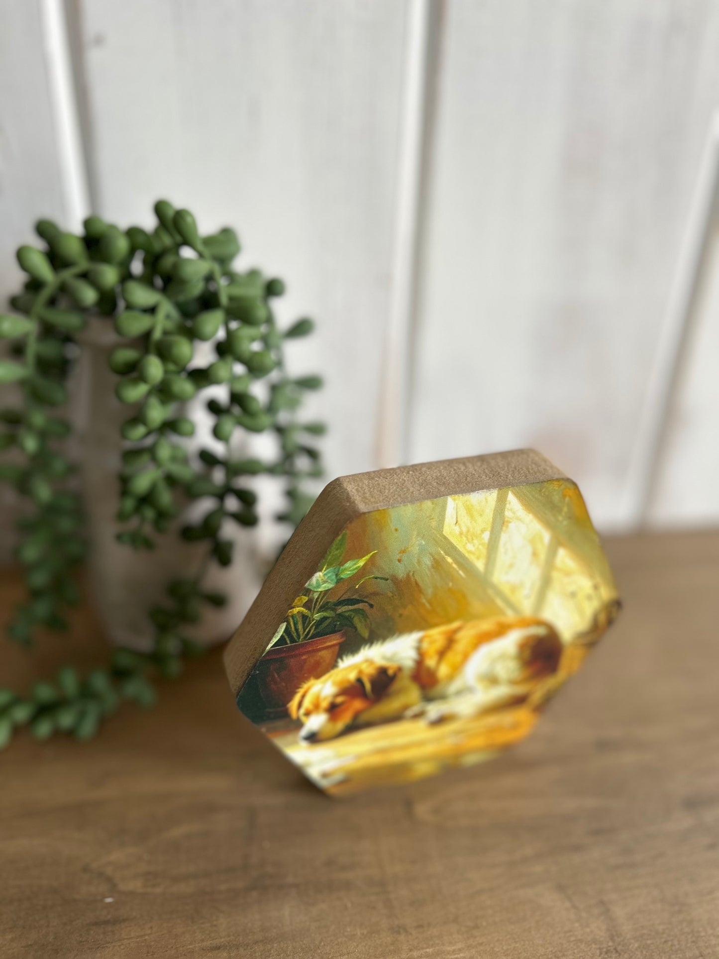 Dog Napping - Rustic Spring Decor Hexagon Wood Sign