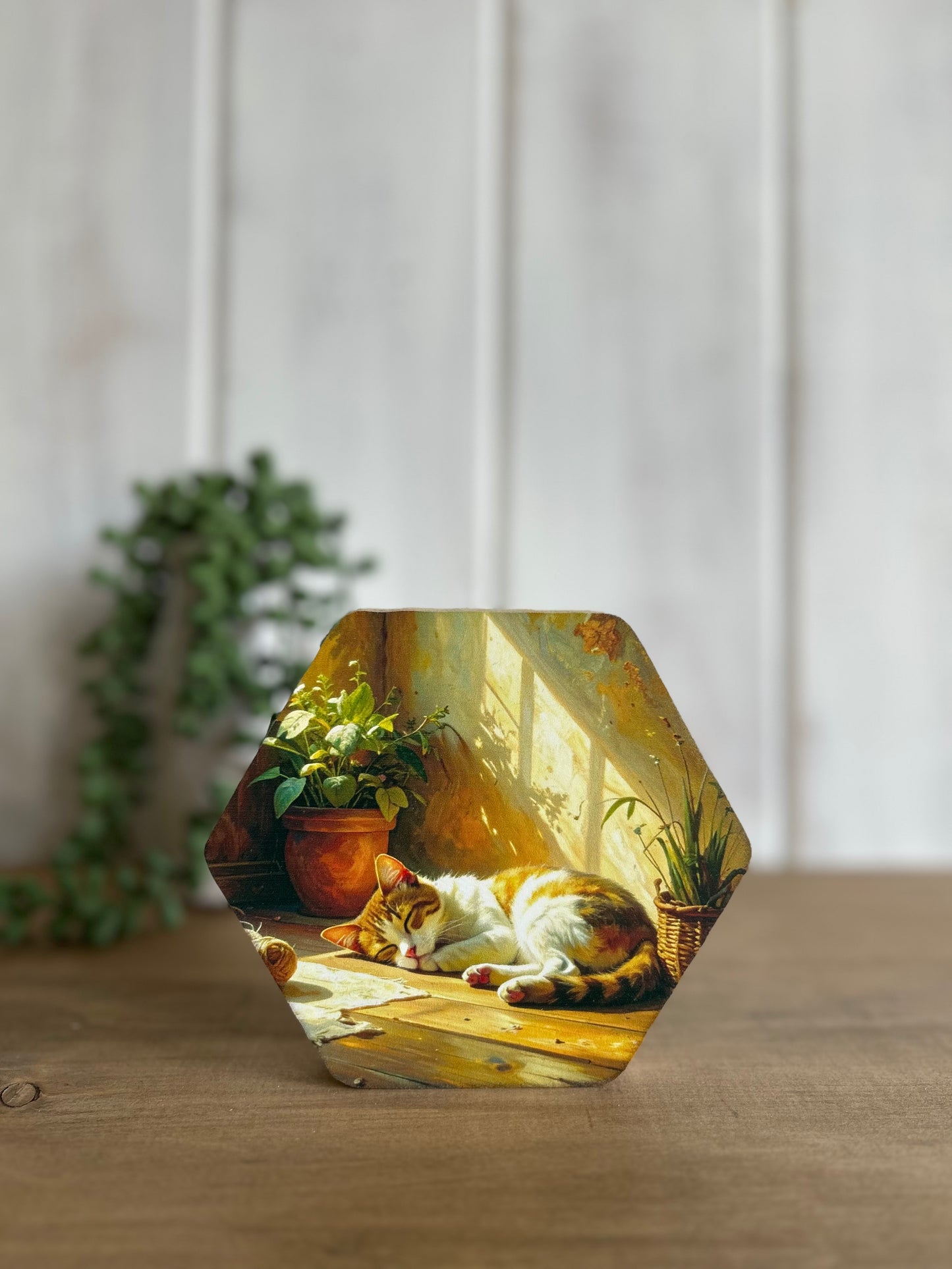 Cat Napping - Rustic Spring Decor Hexagon Wood Sign