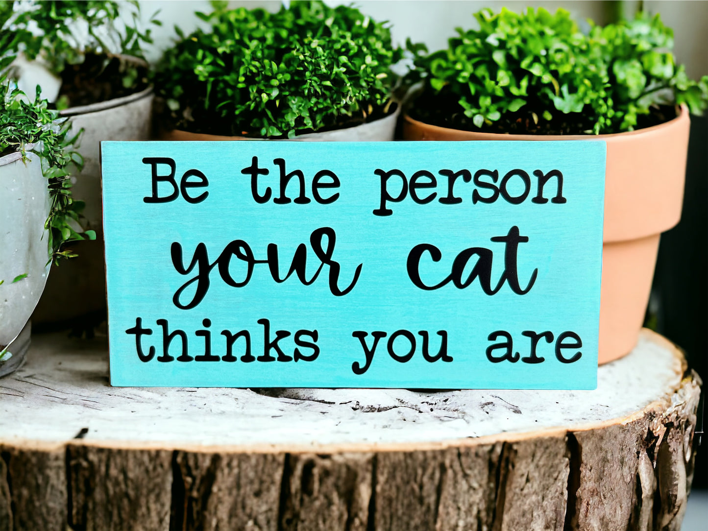 Be the Person Your Cat Thinks You Are - Rustic Shelf Sitter