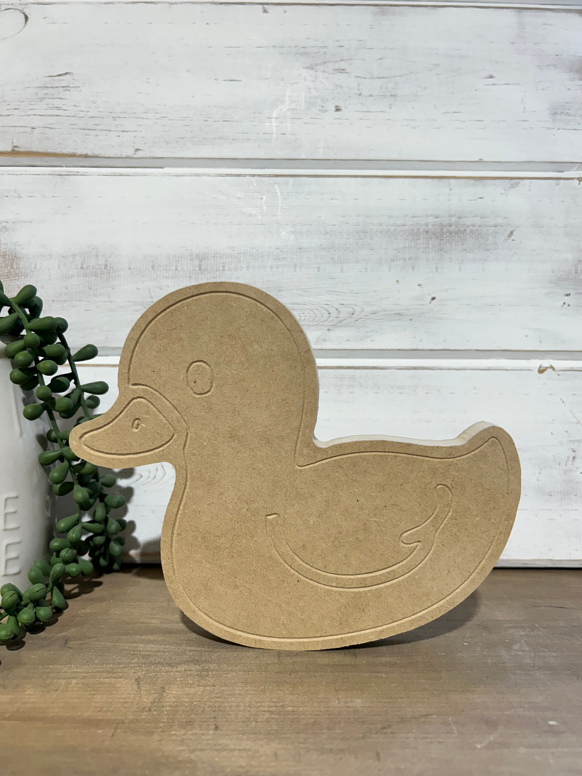 DIY Wood Duck