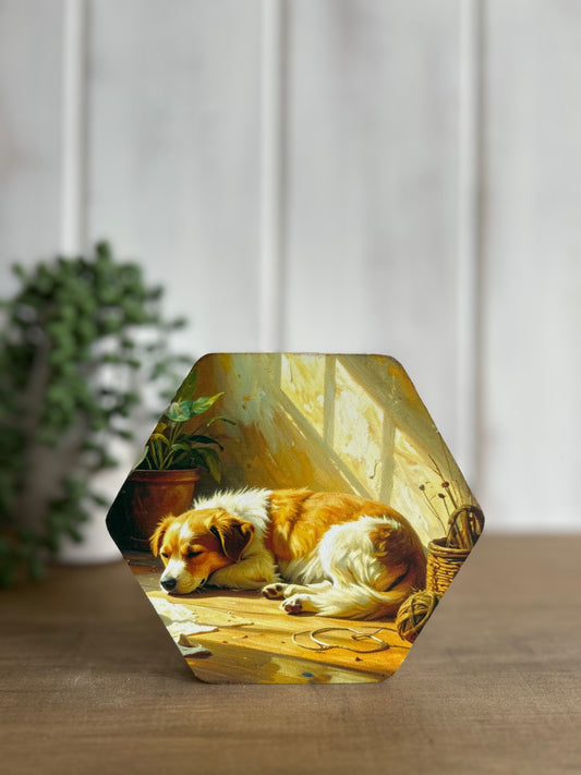 Dog Napping - Rustic Spring Decor Hexagon Wood Sign