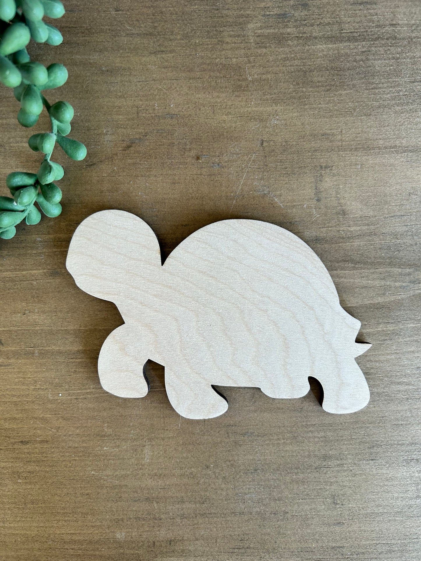 DIY Thin Blanks - Wood Box Turtle - Pack of 4