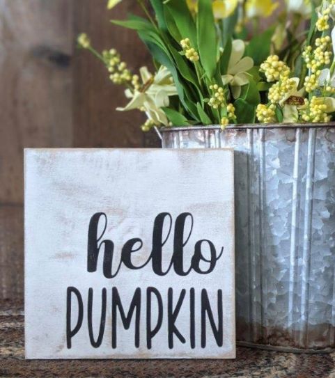 "Hello pumpkin" wood sign